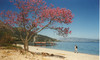 Corfu in de lente